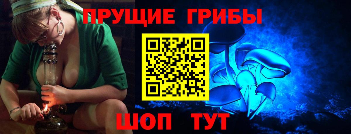 Псилоцибиновые грибы мицелий  Вход с VPN  Хасавюрт  купить  цена  Галлюциногенные грибы мухоморы 