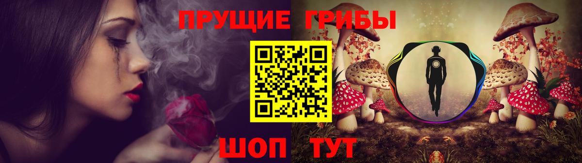 Псилоцибиновые грибы мухоморы Хасавюрт